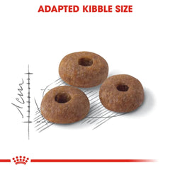 Royal Canin Fit 32 Adult Dry Cat Food - dspetstore.com