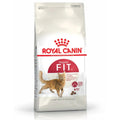 Royal Canin Fit 32 Adult Dry Cat Food - dspetstore.com