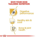 Royal Canin German Shepherd Adult Dry Dog Food - dspetstore.com