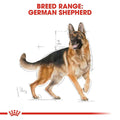 Royal Canin German Shepherd Adult Dry Dog Food - dspetstore.com