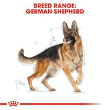 Royal Canin German Shepherd Adult Dry Dog Food - dspetstore.com