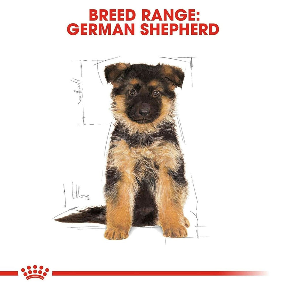 Royal Canin German Shepherd Puppy Dry Dog Food - dspetstore.com