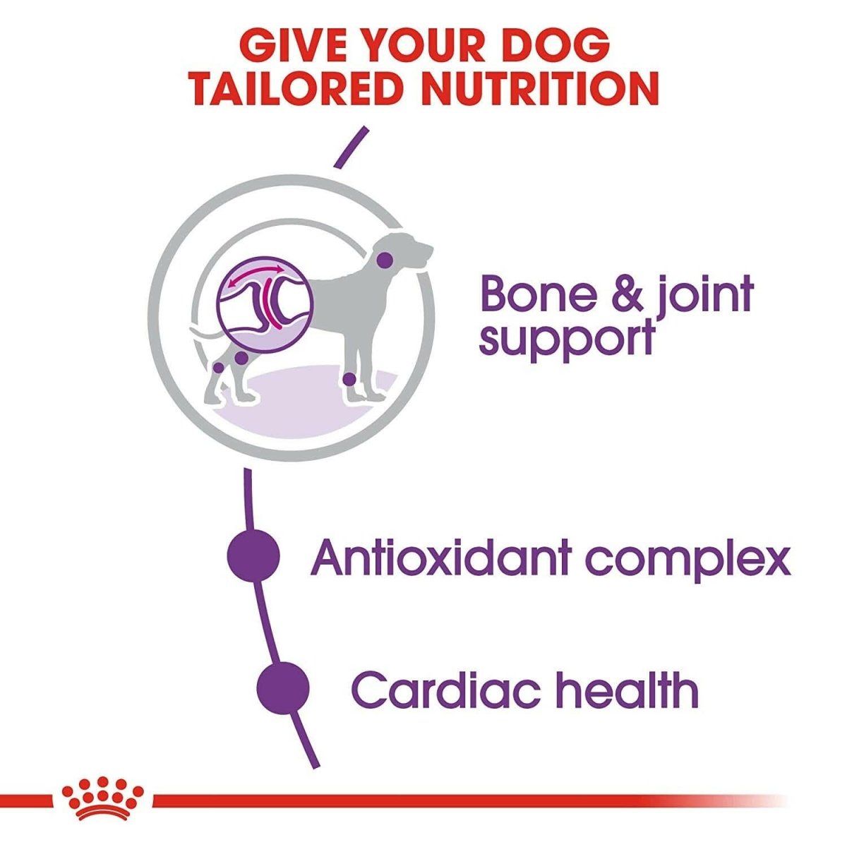 Royal Canin Giant Adult Dry Dog Food - dspetstore.com
