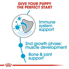 Royal Canin Giant Junior Dog Food - dspetstore.com