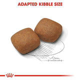 Royal Canin Giant Junior Dog Food - dspetstore.com