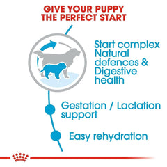 Royal Canin Giant Starter Dog Food - dspetstore.com
