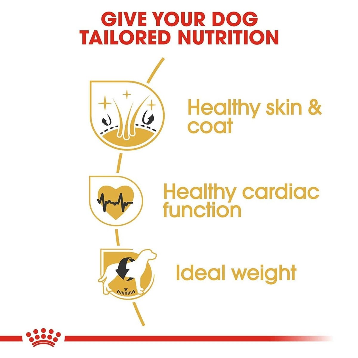 Royal Canin Golden Retriever Adult Dry Dog Food - dspetstore.com