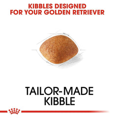Royal Canin Golden Retriever Adult Dry Dog Food - dspetstore.com