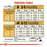 Royal Canin Golden Retriever Puppy Dry Dog Food - dspetstore.com