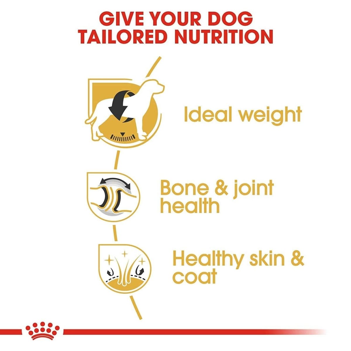 Royal Canin Labrador Adult Dry Dog Food - dspetstore.com