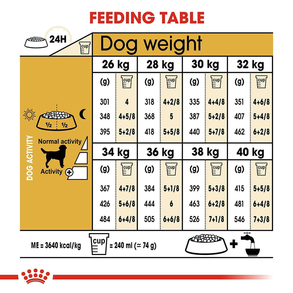 Labrador enjoying meal of Royal Canin food – Supports weight management and digestive health in Labradors.
