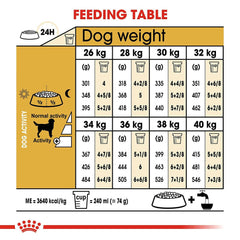 Labrador enjoying meal of Royal Canin food – Supports weight management and digestive health in Labradors.
