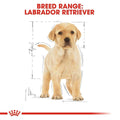 Royal Canin Labrador Retriever Puppy Dry Dog Food - dspetstore.com