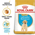 Royal Canin Labrador Retriever Puppy Dry Dog Food - dspetstore.com