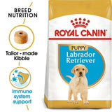 Royal Canin Labrador Retriever Puppy Dry Dog Food - dspetstore.com
