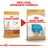 Royal Canin Labrador Retriever Puppy Dry Dog Food - dspetstore.com