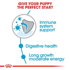 Food maxi puppy for tummy health