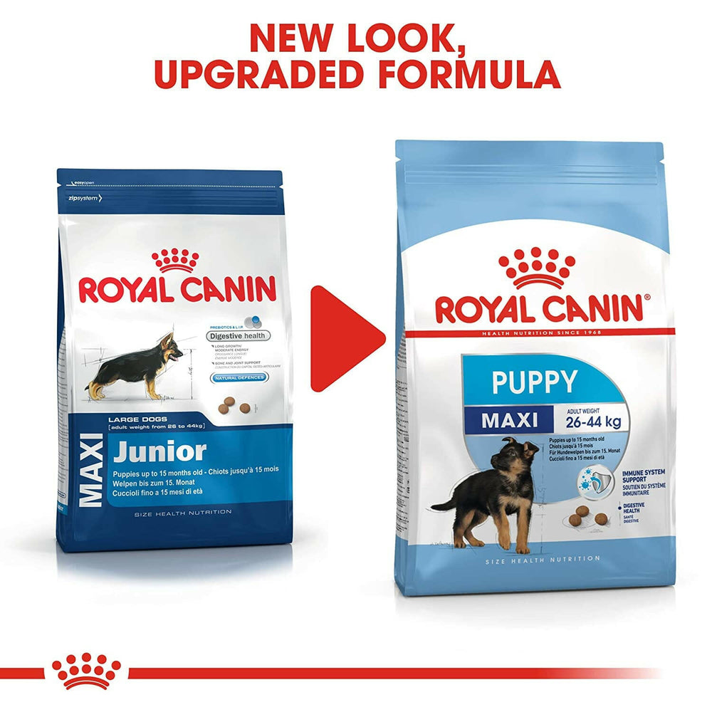 Royal puppy healthy bones