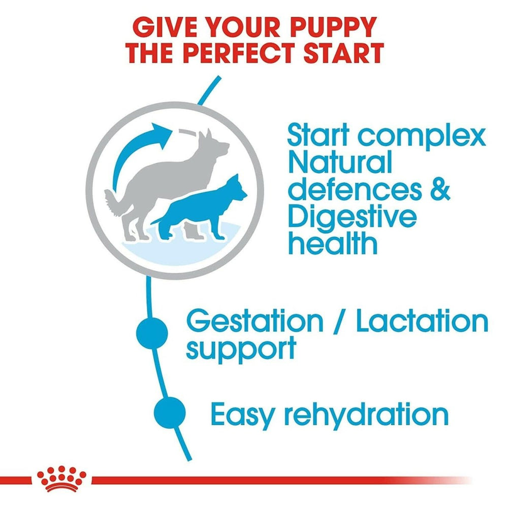 Advertisement for a pet product with text about giving a puppy a perfect start, featuring images of dogs and text about health benefits.