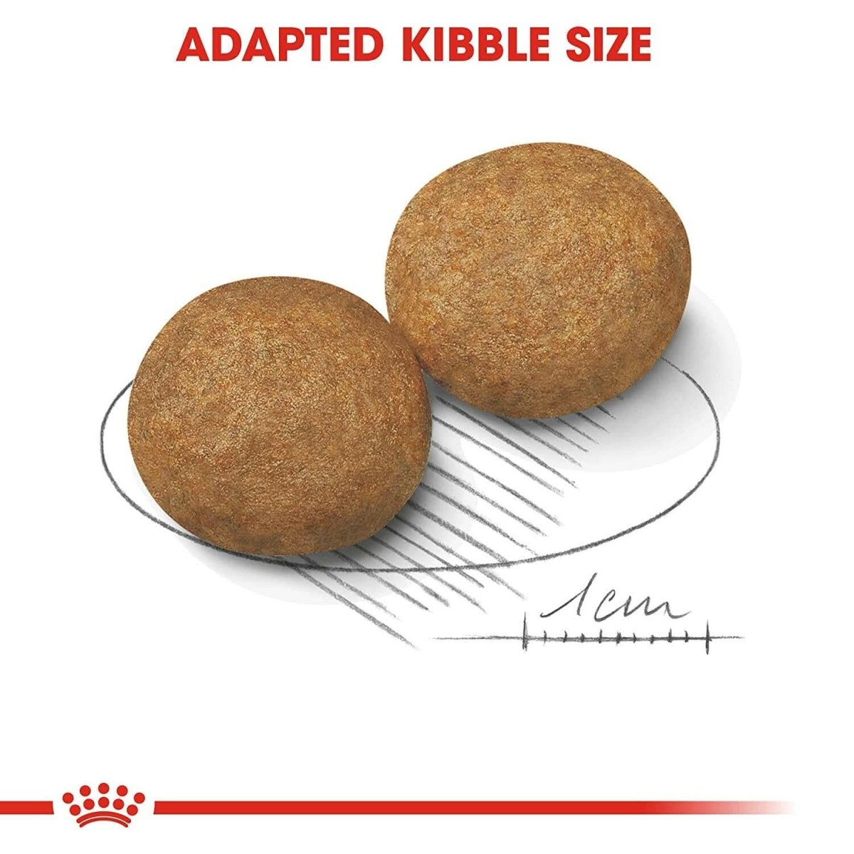 Royal Canin Medium Adult Dry Dog Food - dspetstore.com