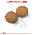 Royal Canin Medium Adult Dry Dog Food - dspetstore.com