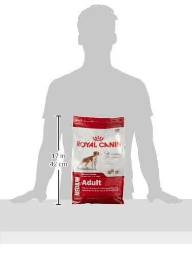 Royal Canin Medium Adult Dry Dog Food - dspetstore.com