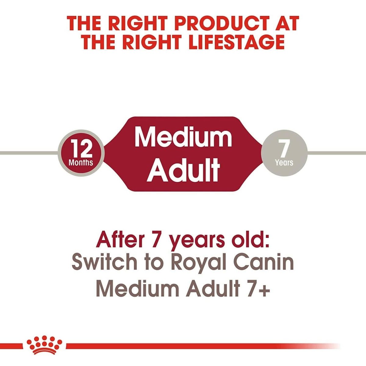 Royal Canin Medium Adult Dry Dog Food - dspetstore.com