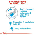 Royal Canin Medium Starter Dry Dog Food - dspetstore.com