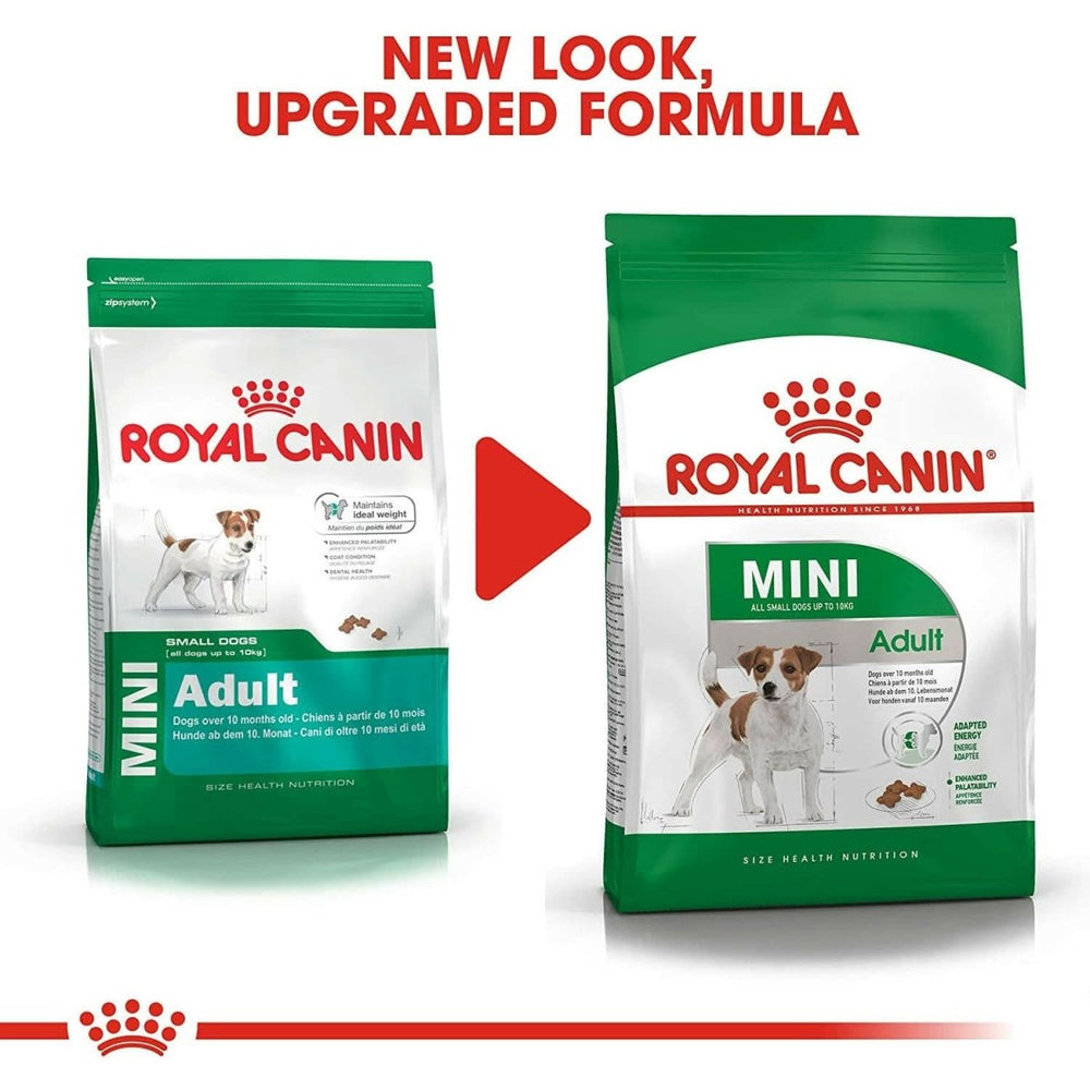 Royal Canin Mini Adult Dry Dog Food dspetstore.com