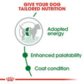 Royal Canin Mini Adult Dry Dog Food dspetstore.com