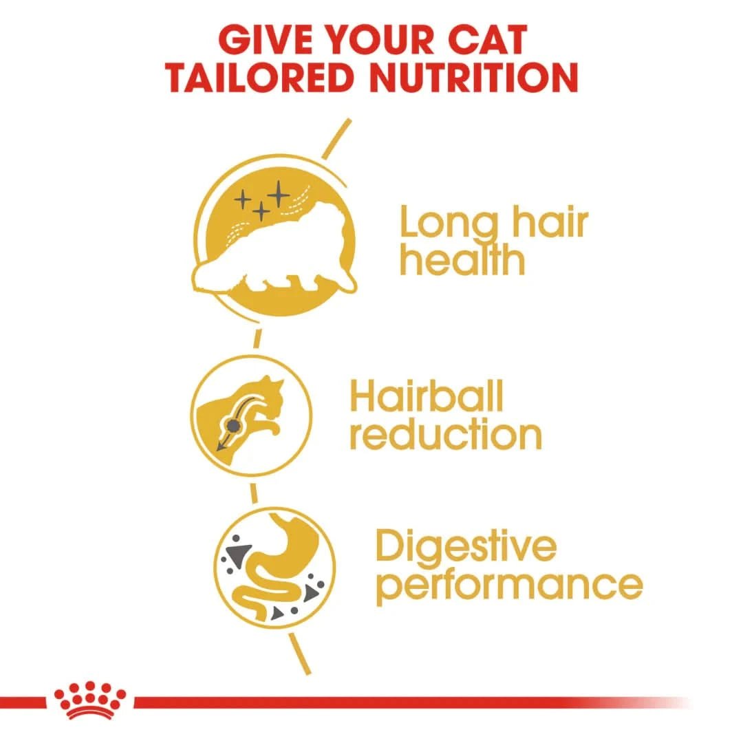 Royal Canin Persian Adult Dry Cat Food - dspetstore.com