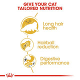 Royal Canin Persian Adult Dry Cat Food - dspetstore.com