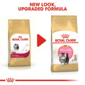 Royal Canin Persian Kitten Dry Cat Food - dspetstore.com