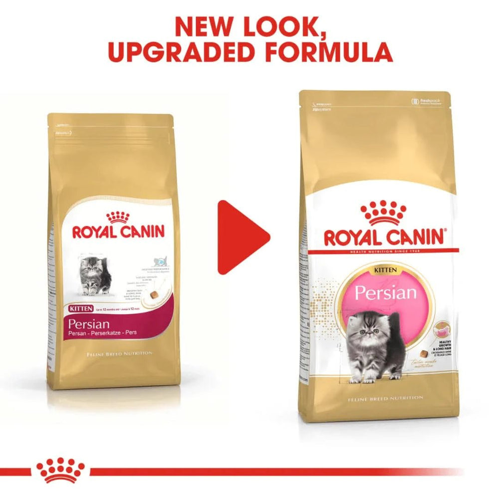 Royal Canin Persian Kitten Dry Cat Food - dspetstore.com