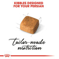 Royal Canin Persian Kitten Dry Cat Food - dspetstore.com