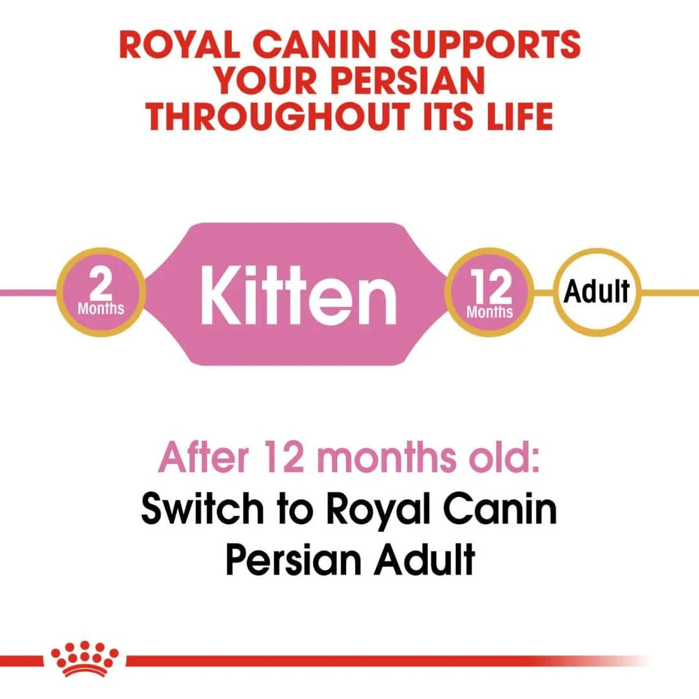 Royal Canin Persian Kitten Dry Cat Food - dspetstore.com
