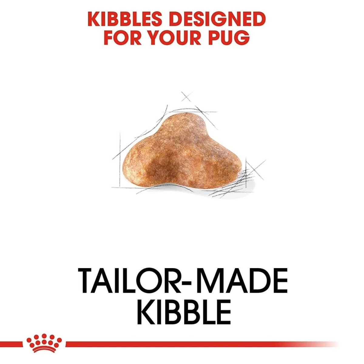 Royal Canin Pug Adult Dry Dog Food - dspetstore.com
