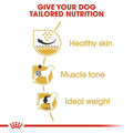 Royal Canin Pug Adult Dry Dog Food - dspetstore.com