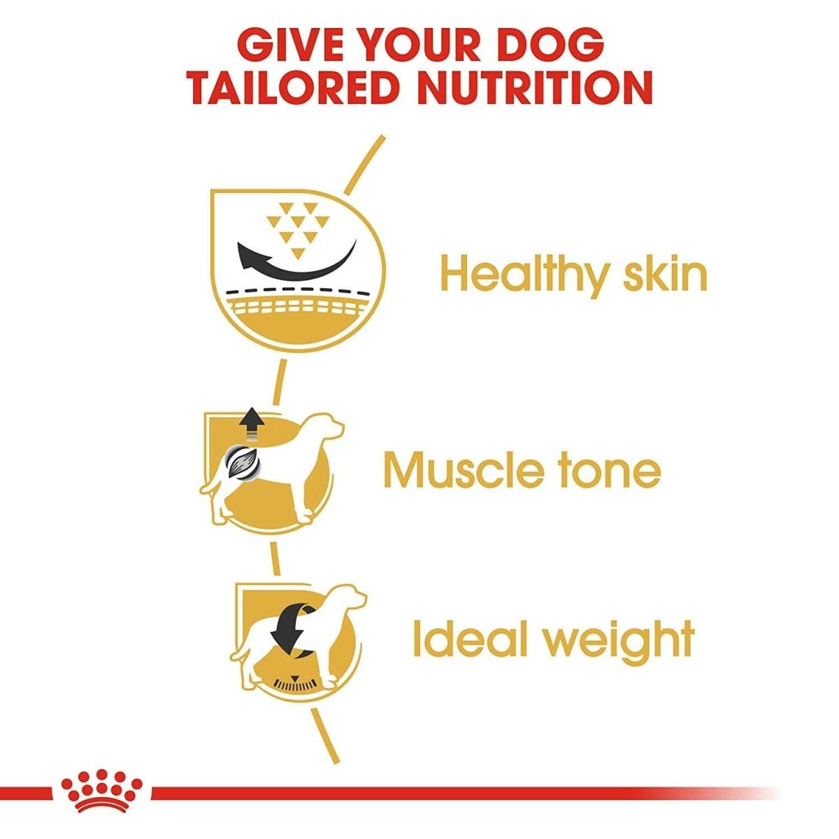 Royal Canin Pug Adult Dry Dog Food - dspetstore.com