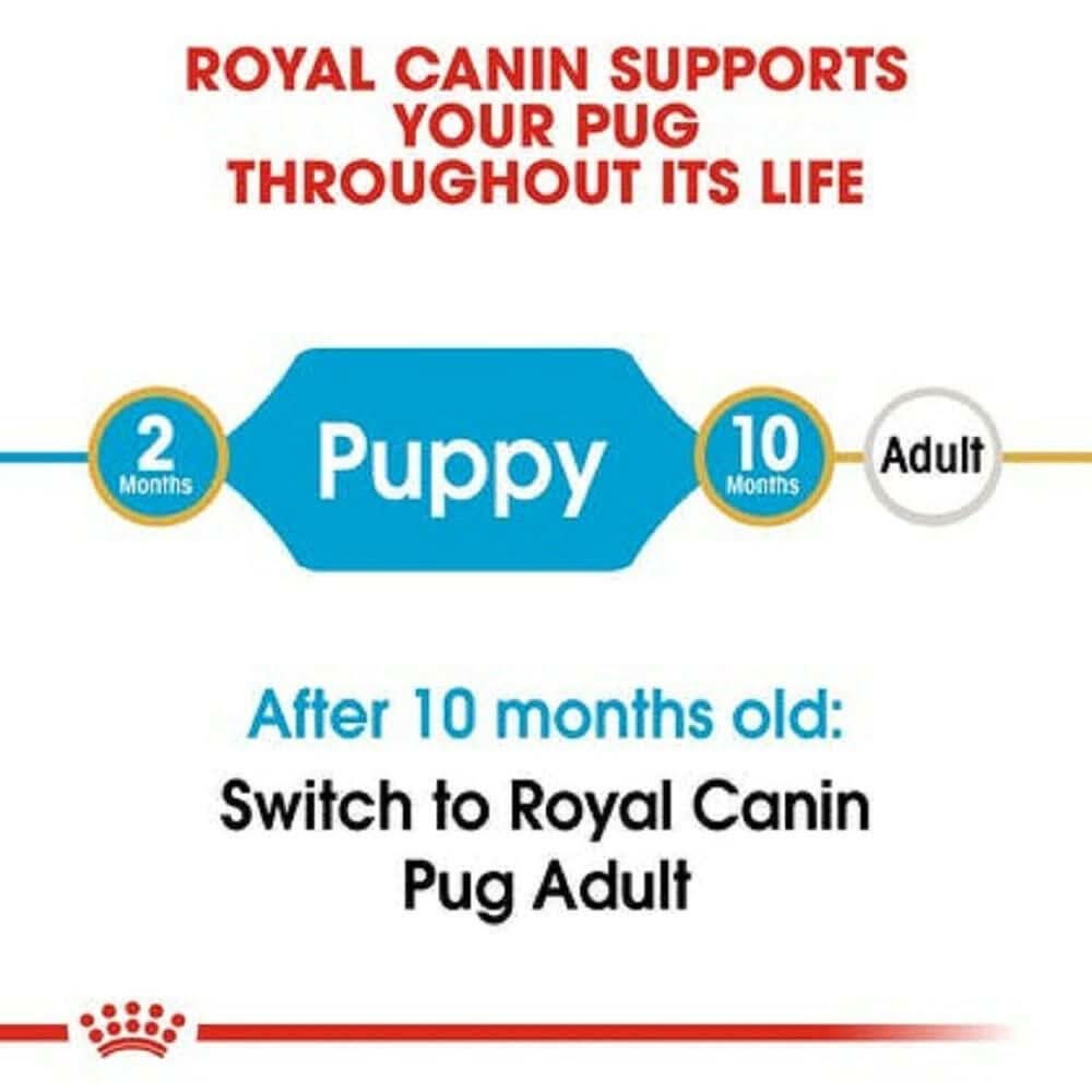 Royal Canin Pug Puppy Dry Dog Food - dspetstore.com