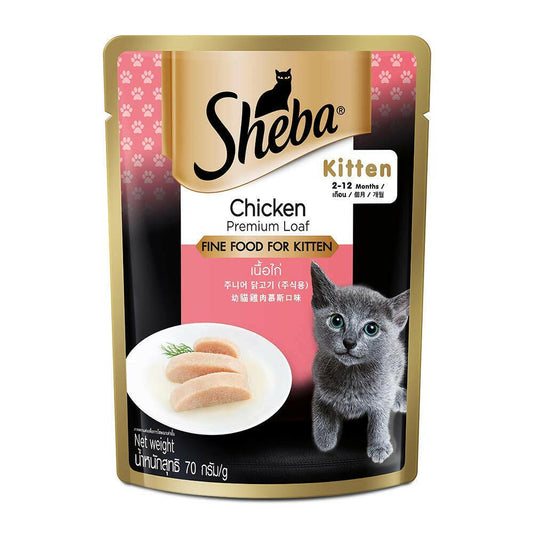 Kitten chicken food for growth