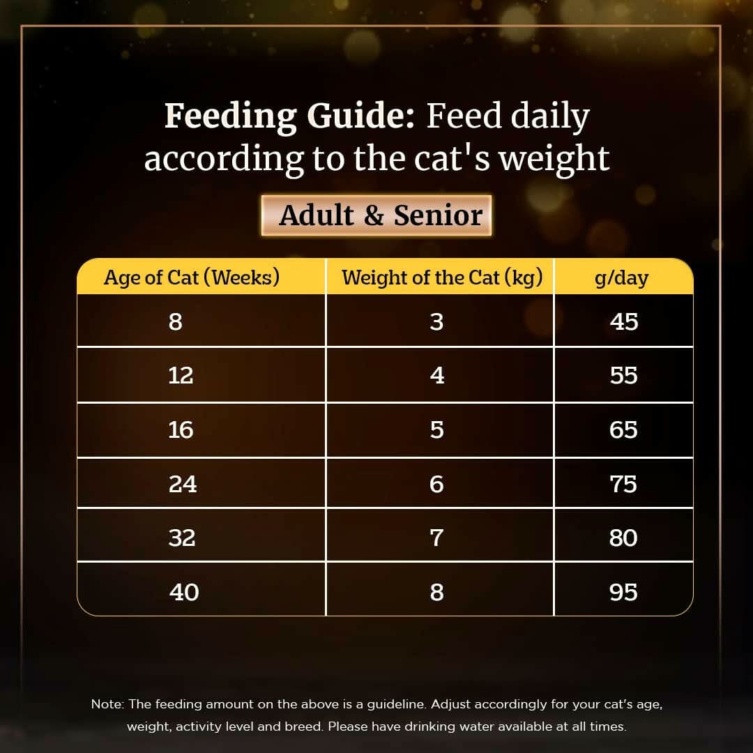 Sheba Dry Cat Food Chicken Flavour - dspetstore.com