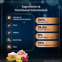 Sheba Dry Cat Food Salmon Flavour - dspetstore.com