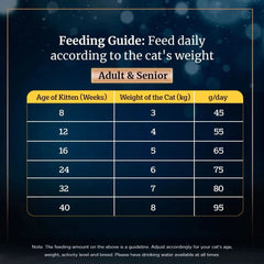 Sheba Dry Cat Food Salmon Flavour - dspetstore.com