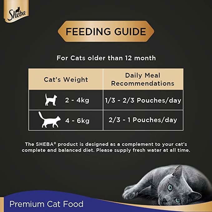Sheba Wet Cat Food Chicken Loaf - dspetstore.com