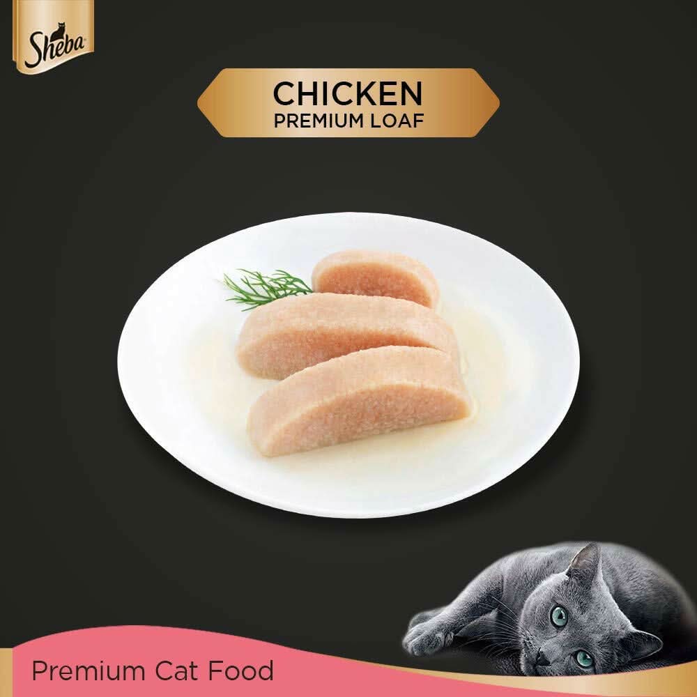 Sheba Wet Cat Food Kitten Chicken Loaf - dspetstore.com