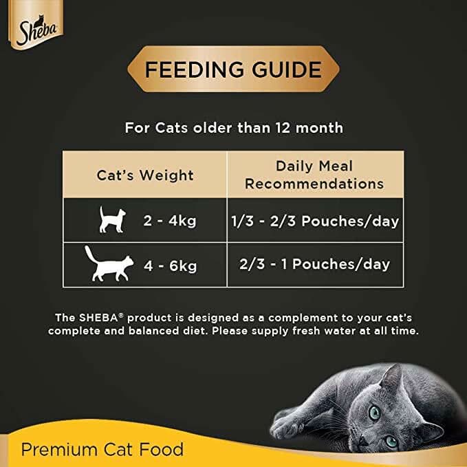 Sheba Wet Cat Food Tuna Pumpkin & Carrot In Gravy - dspetstore.com
