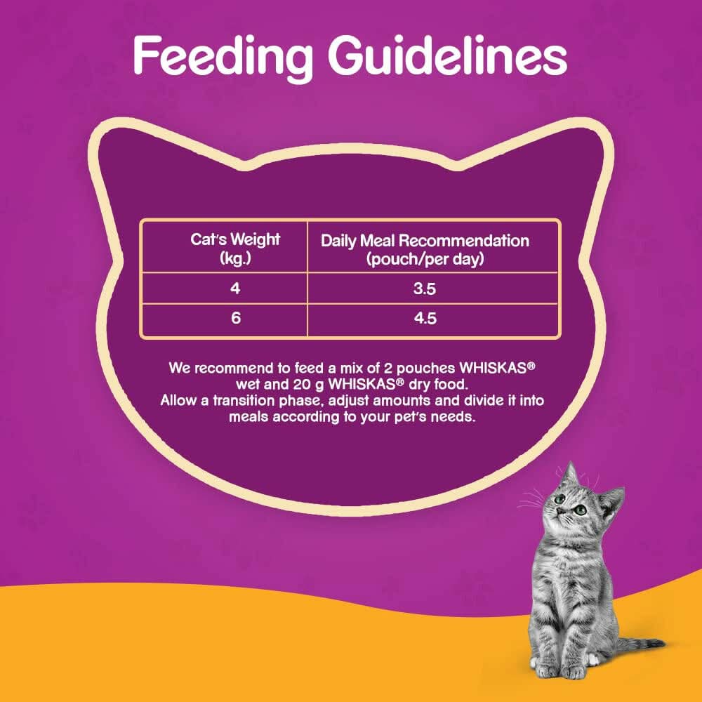 Feeding guidelines for a cat with a purple background and a cat illustration.