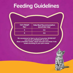 Feeding guidelines for a cat with a purple background and a cat illustration.
